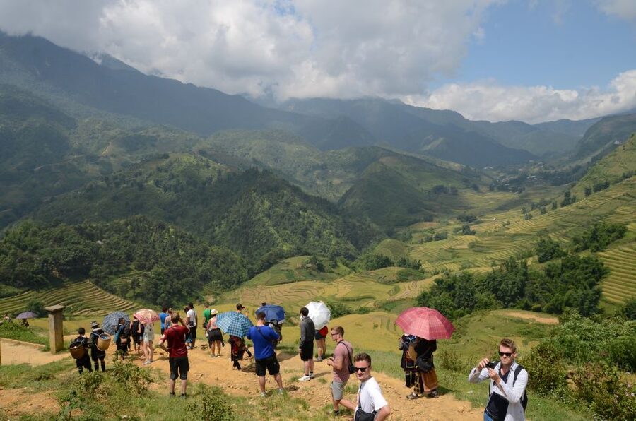 2-Day Sa Pa Ethnic Homestay Tour & Trek with Limousine Bus - Day 2 Trek Through Rice Paddies and Bamboo Forest to Giang Ta Chai