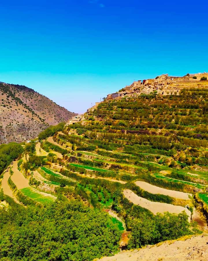 2-Day Trek, Berber Villages, and Stay in Azzaden Valley - Food, mule support, and the trek pace you can actually handle