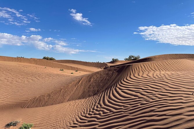 2-day trek - In the footsteps of beetles - Key Highlights You’ll Feel Quickly