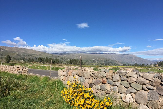 2 Day Trek Including Transfer to Puno / Colca Canyon - From Arequipa at 3:00 am to Chivay breakfast