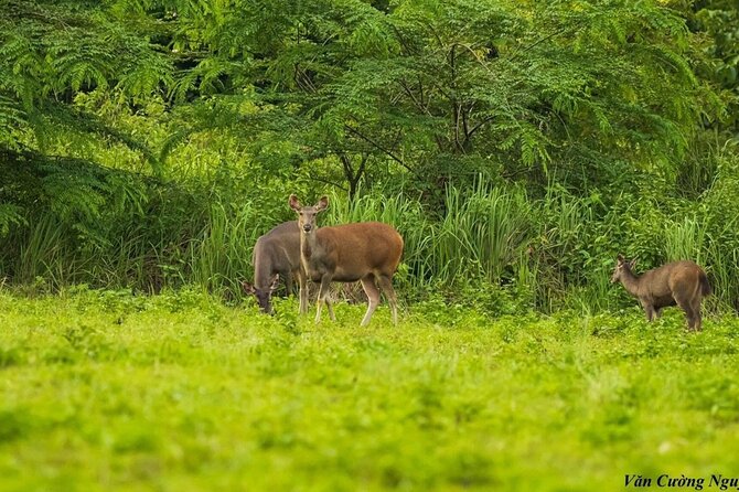 2-Day Trekking & Biking Nam Cat Tien National Park from HCM City - Bau Sau (Crocodile Lake): Jeep, Short Trek, and Lake Time