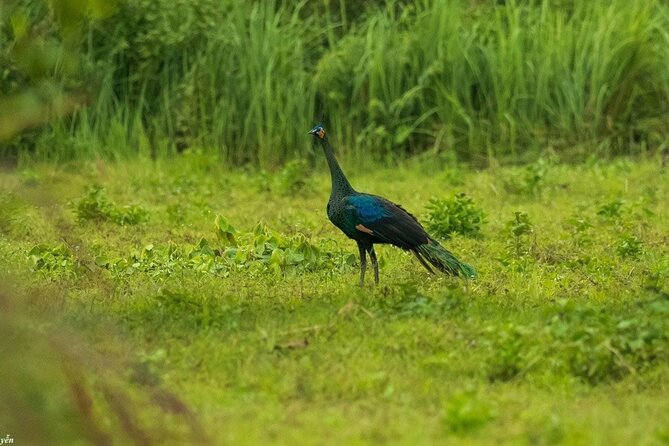 2-Day Trekking & Biking Nam Cat Tien National Park from HCM City - Price and Value: Does $319 Make Sense for This Plan?