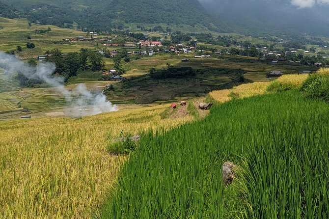 2 Day Trekking Experience: Explore with knowledgeable local guide - What’s included in the $65 price (and why it’s not just cheap)