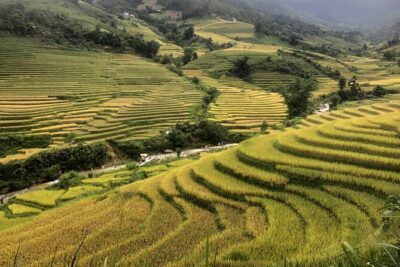 2 Day Trekking Experience: Explore with knowledgeable local guide - The overnight at Bau’s home (where the trip actually becomes personal)