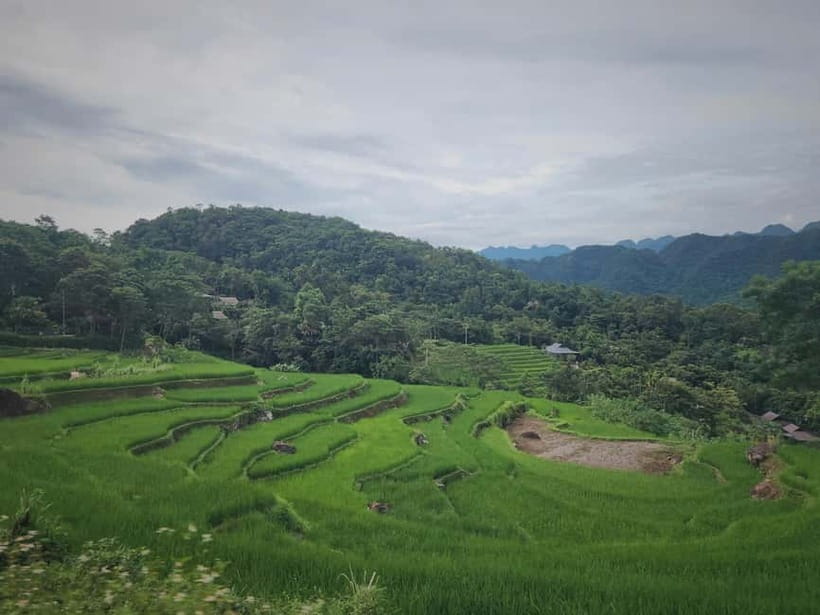 2 Day Trekking In Pu Luong Loop & Overnight At Homestay - Guide Quality: English Help That Actually Explains What You See