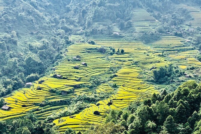 2-Day Trekking in Sa Pa from Ha Noi by sleeping bus - Bamboo Forest to Giang Ta Chai: shaded walking and Red Dao traditions