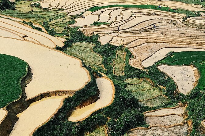 2-Day Trekking in Sa Pa from Ha Noi by sleeping bus - Su Pan: terraced-field views and an easy back to Sapa
