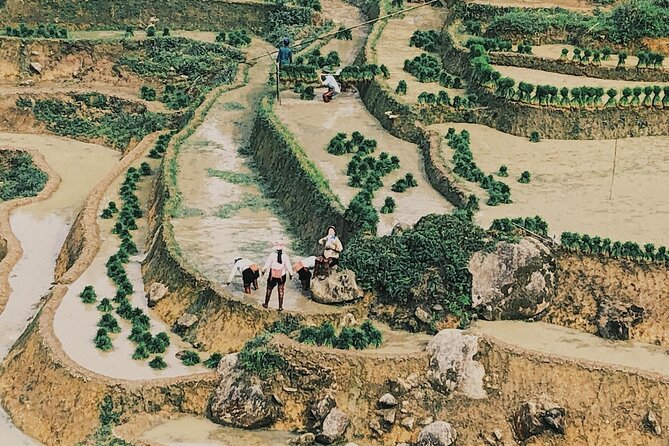 2-Day Trekking in Sa Pa from Ha Noi by sleeping bus - Price and value: what you get for $89