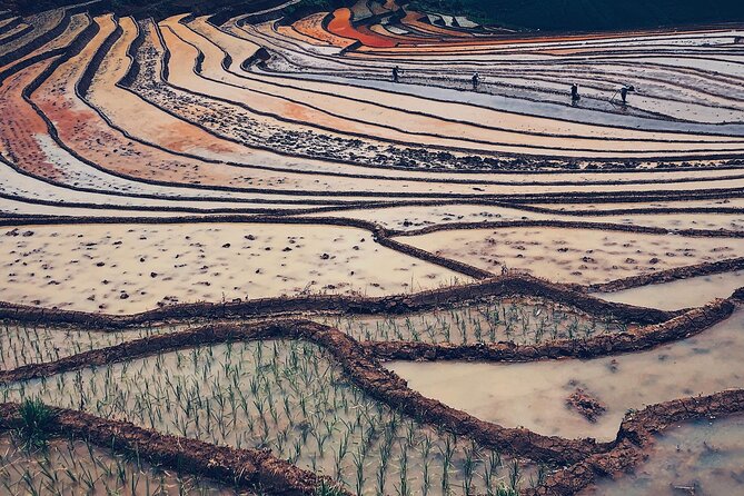 2-Day Trekking in Sa Pa from Ha Noi by sleeping bus - Guide quality and local knowledge: what makes it feel worth it