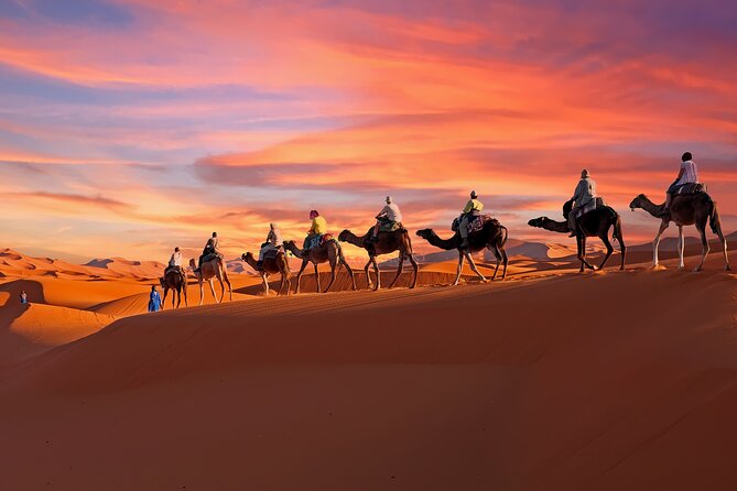 2-Day Tunisia Sahara Desert Camel Trek from Douz - Key moments you’ll care about
