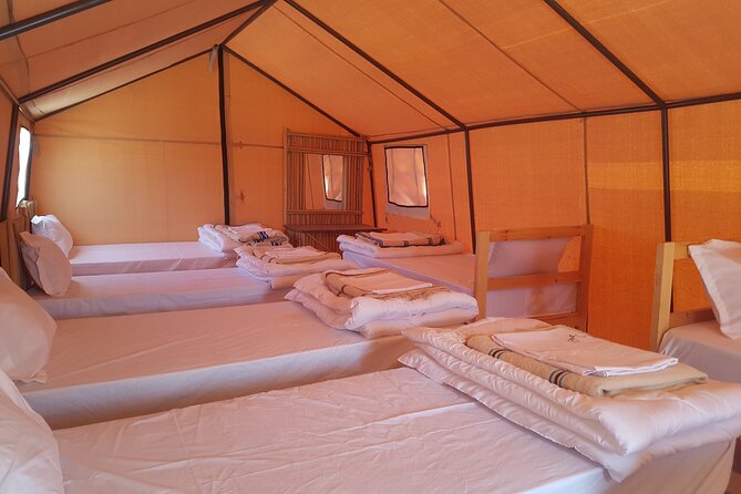 2-Day Tunisia Sahara Desert Camel Trek from Douz - Day 2: Sunrise Camel Trek, Berber Breakfast, and the Return to Douz