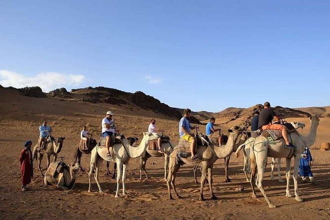 2-Day Zagora Tour from Marrakech Including the Atlas Mountains, Camel Trek and Desert Camp - From Marrakesh to the High Atlas: Your Long Day Starts at 7:00 AM