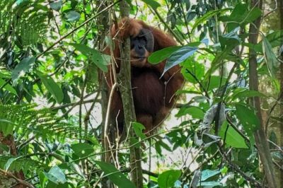 2 Days 1 Night Ethical Jungle Trekking - The river camp night: why one night changes everything