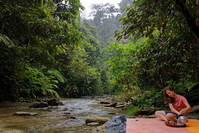 2 Days 1 Night Ethical Jungle Trekking - Private-style, small-group feel: what max 6 travelers really means