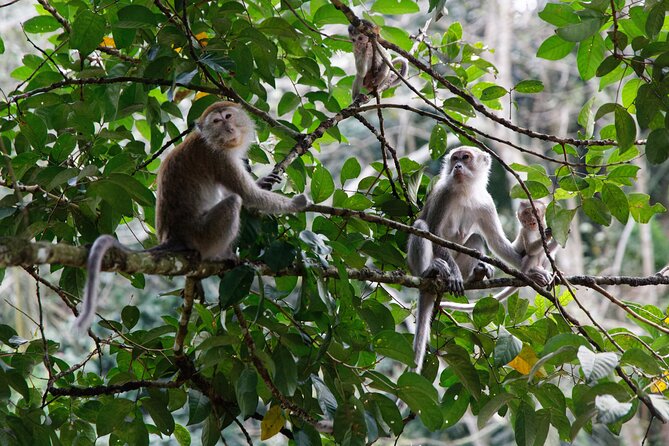 2 Days 1 Night Ethical Jungle Trekking - Price and whether $207.79 makes sense for your priorities