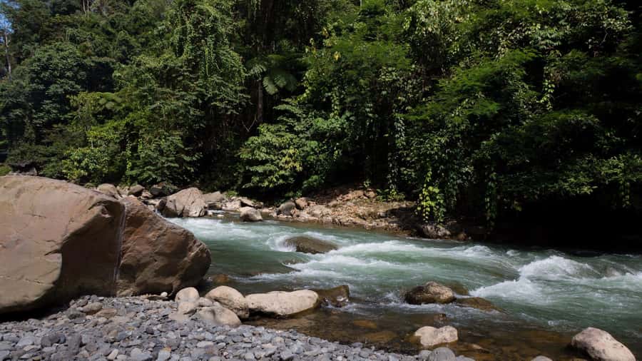 2 Days 1 Night Orangutan Trek Bukit Lawang - Evening dinner and jungle games: what your night feels like