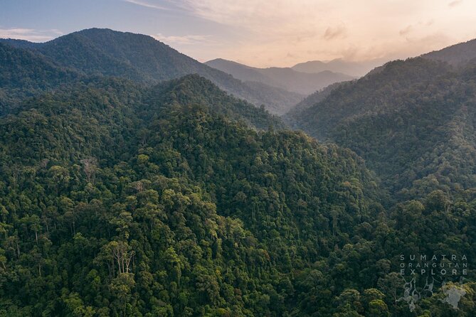 2 Days and 1 Night Ethical Jungle Trek - Why this ethical jungle trek feels different in Gunung Leuser