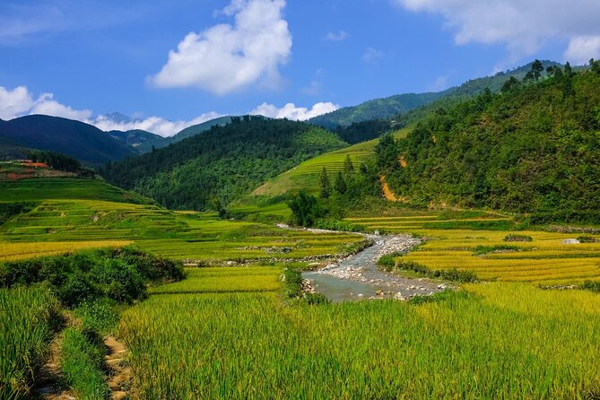 2 days authentic trekking tour in Sapa ( Homestay - Less touristy ) - Day 2: Ngũ Chỉ Sơn mornings, Suoi Thau village routes, and the final climb