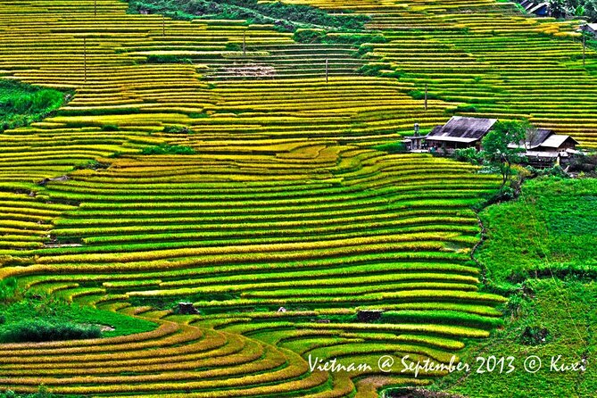2 days authentic trekking tour in Sapa ( Homestay - Less touristy ) - Should you book Sapa Original Trek?