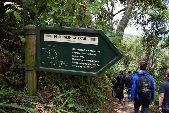 2 Days Chimpanzees trekking Tour and Canopy walk Adventure - Day 1: Kigali Transfers, Nyanza and Butare Stops, Then the 3pm Canopy Walk