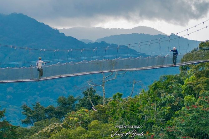 2 Days Chimpanzees trekking Tour and Canopy walk Adventure - Price and Value: What $1,350 Really Buys You