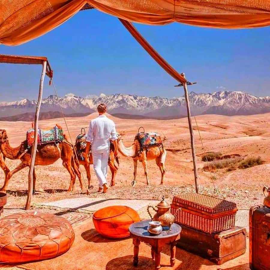 2 Days Desert Agafay and Atlas Mountains Trek From Marrakech - Price and Logistics: value at $100, with one big thing to confirm