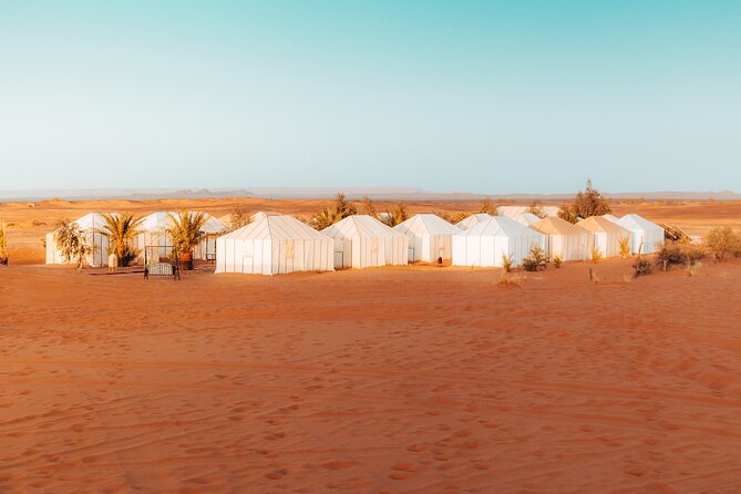 2 Days Desert Private Luxury Couple's Retreat Camel Trek + Quad - Price and Value: What $415.96 Per Person Actually Covers