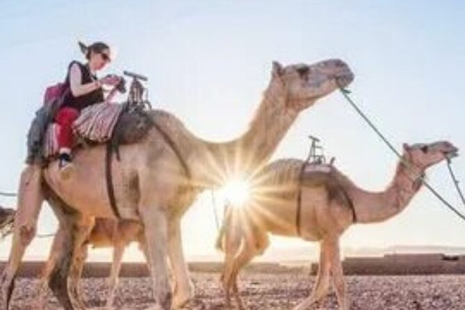 2 Days Desert Tour From Marrakech To Zagora And Camel Trek - Sunset camel ride and the Berber-style camp: the part you remember