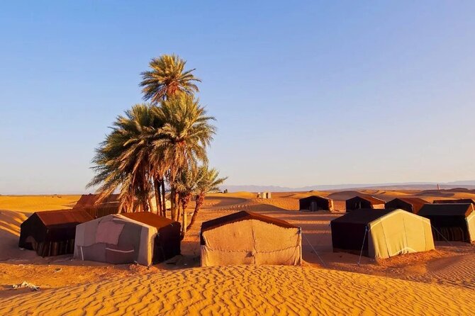 2 Days Desert Tour From Marrakech To Zagora And Camel Trek - Safety and the human touch that makes the trip feel easy