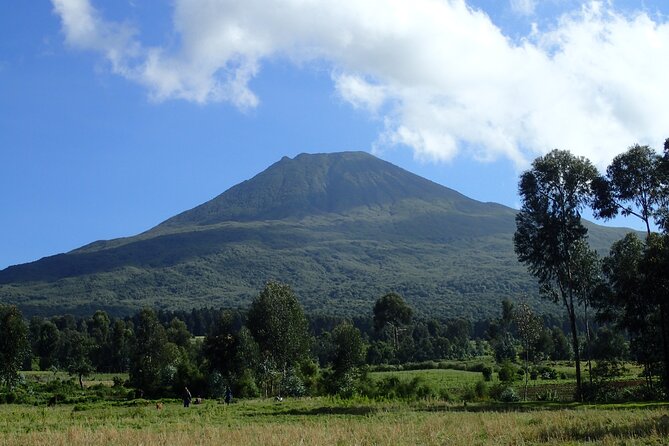 2 Days Gorilla & Golden Monkey Trekking Safaris - Gorilla trekking on Day 2: timing, rangers, and permit reality