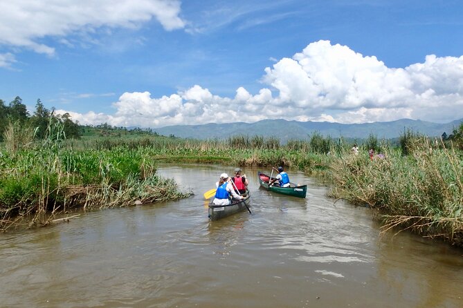 2 Days Gorilla & Golden Monkey Trekking Safaris - Golden Monkey trekking at Volcanoes National Park: watch, don’t rush