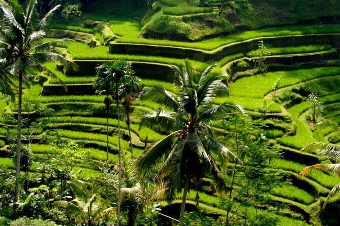 2 Days Mount Batur Sunrise Trekking With Private Ubud Day Tour - Day 1 Recovery Stop: Batur Natural Hot Springs (Up to 90 Minutes)