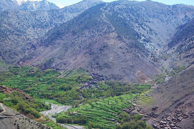 2 days Mount Toubkal Trek from Marrakech - The guides and mule support that make this trip smoother