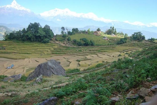 2 Days Panchase Hill Trek from Pokhara - Pace, Comfort, and the Guesthouse Reality Check