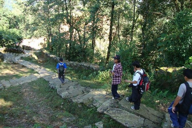 2 Days Panchase Hill Trek from Pokhara - Price and What You Actually Get for $94