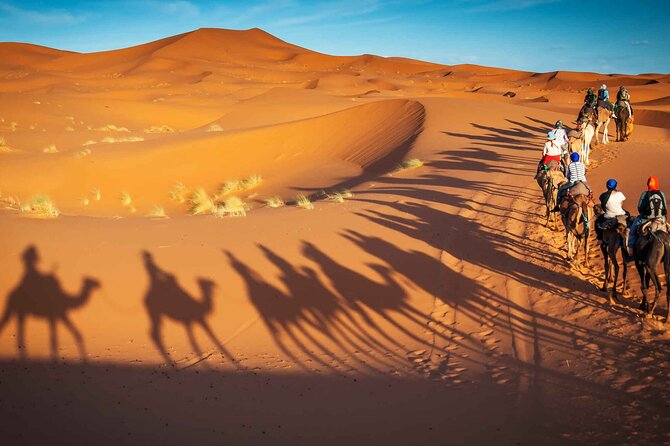 2 Days Private Journey in Fez Desert with Camel Trek - Ifrane and Azrou: Swiss-Style Mountain Town Meets Berber Life