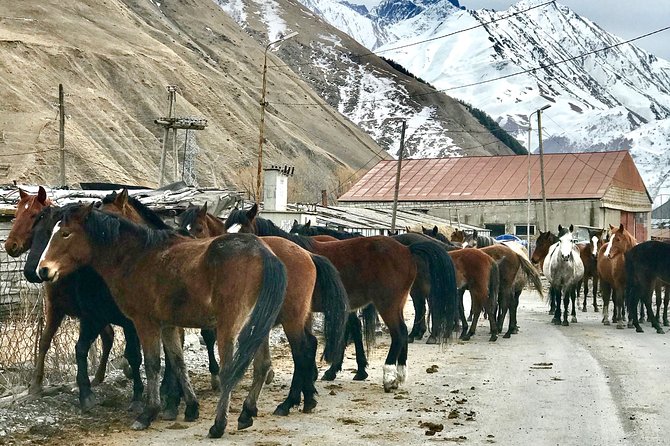 2 Days Private Tour to Kazbegi and Juta Village with Trekking - Day 1 road-trip stops: Jvari, Zhinvali, Gudauri, then Gergeti Trinity Church