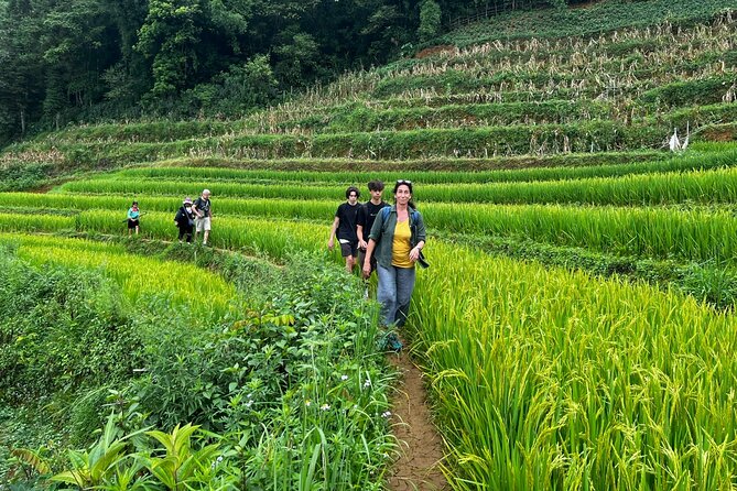 2 days private Wildland Trek in Sapa - Day 2: rice terraces, a salmon farm break, and Ban Khoang culture