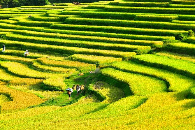 2 Days Pu Luong Offbeat Trekking Best for Mountain Lovers - What I’d pack for Pu Luong trekking and caves