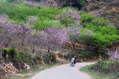 2 Days Sapa Trekking In Cat Cat And Ta Van Village From Hanoi - Day 2 Y Linh Ho and Muong Hoa: the 9 km trek that earns the views