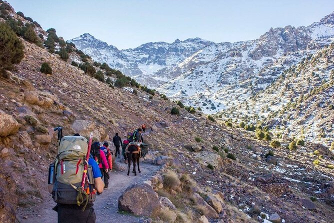 2-Days Toubkal Trek from Marrakech with Local Guide - Transport, Mules, and Meals: The Comfort Pieces That Matter
