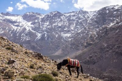 2-Days Toubkal Trek from Marrakech with Local Guide - Day 1: Marrakech to Imlil, Aremd Village, and the Toubkal Refuge