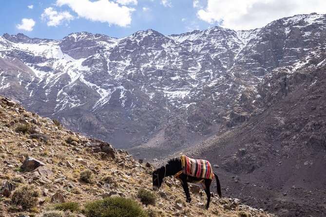 2-Days Toubkal Trek from Marrakech with Local Guide - Day 1: Marrakech to Imlil, Aremd Village, and the Toubkal Refuge