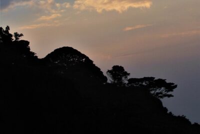 2 days Uganda Gorilla trekking - Gorilla tracking in Bwindi: timing, fitness, and what to pack