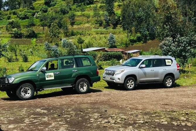 2 days Uganda Gorilla trekking - Should you book this two-day gorilla package?