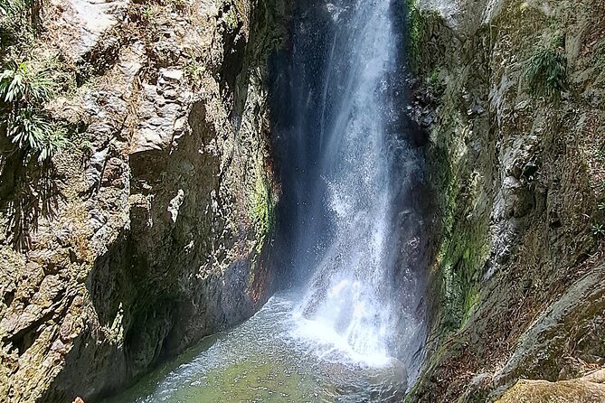 2 Hours Trekking Waterfall Tour in Tobago - Into the tropical forest: your hike is about 45 minutes up