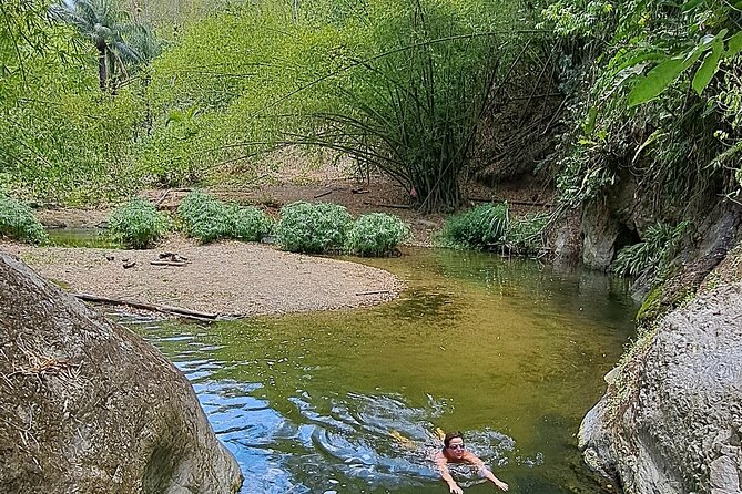 2 Hours Trekking Waterfall Tour in Tobago - The waterfall climb: getting to the cascade and enjoying the cool water