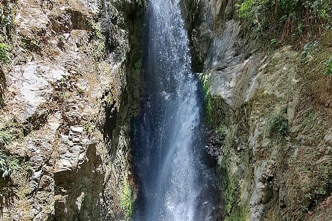 2 Hours Trekking Waterfall Tour in Tobago - What’s included vs. what you should plan to cover yourself