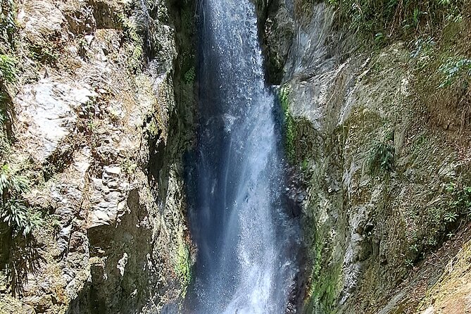 2 Hours Trekking Waterfall Tour in Tobago - Group size and pacing: you get attention without feeling crowded
