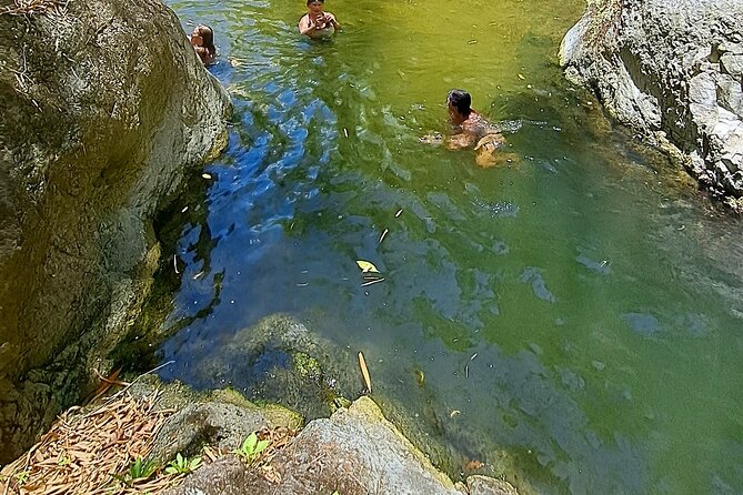 2 Hours Trekking Waterfall Tour in Tobago - The Atlantic Ocean drive: scenery you’ll appreciate even if you’re focused on the trail